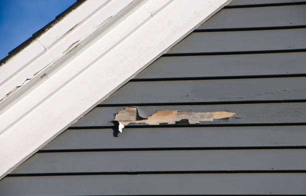Professional Junk Removal in Jackson, WY